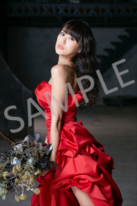 160121_7net.jpg
